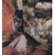 39- Point of view - bocca -2