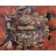 39- Point of view - bocca -2