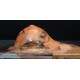 77-Agu-Point of view-tettina 1