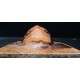 77-Agu-Point of view-tettina 1