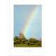 under the rainbow