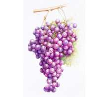 amazing grapes