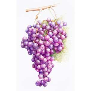 amazing grapes