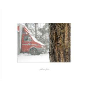 albero a fuoco