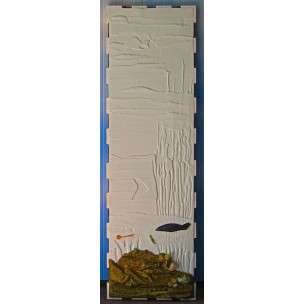 sezioni di mare 1